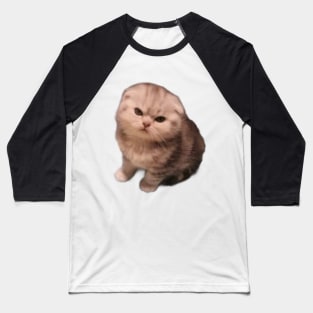 Angry Cat Baseball T-Shirt